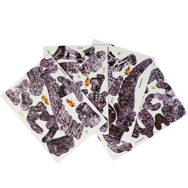 Build Your Own Dinosaur-Triceratops - Pink Poppy Australia