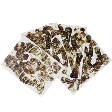 Build Your Own Dinosaur-Parasaurolophus - Pink Poppy Australia