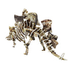 Build Your Own Dinosaur-Stegosaurus - Pink Poppy Australia