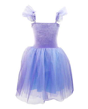 Princess Violet Velvet Dress with Tulle Skirt