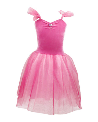 Princess Rose Velvet Dress with Ombre Tulle - Pink Poppy Australia